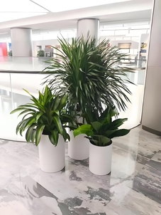 宁波余姚绿植租摆哪家值得选？攻略请查收！